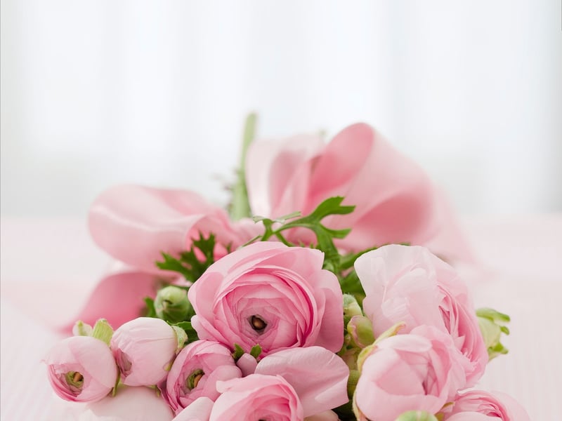 Botanical Party Decor